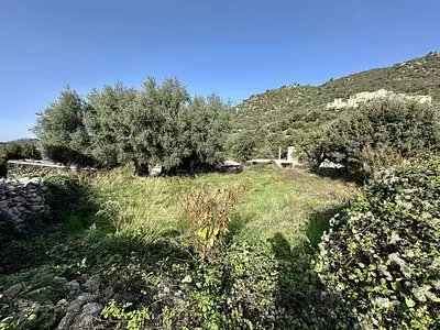 Terrain, 824 m²