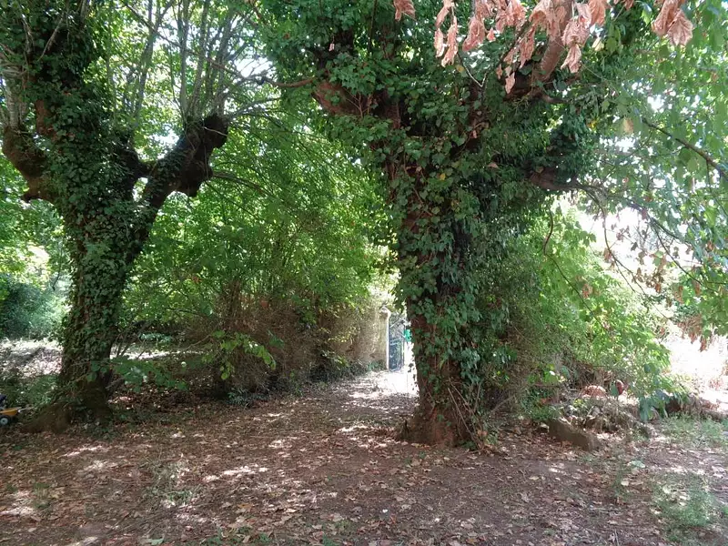 Maison, 230 m²