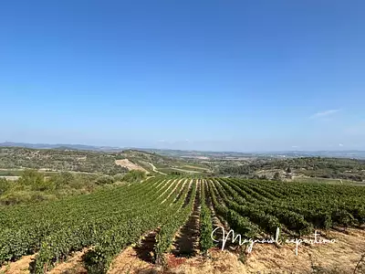 Terrain