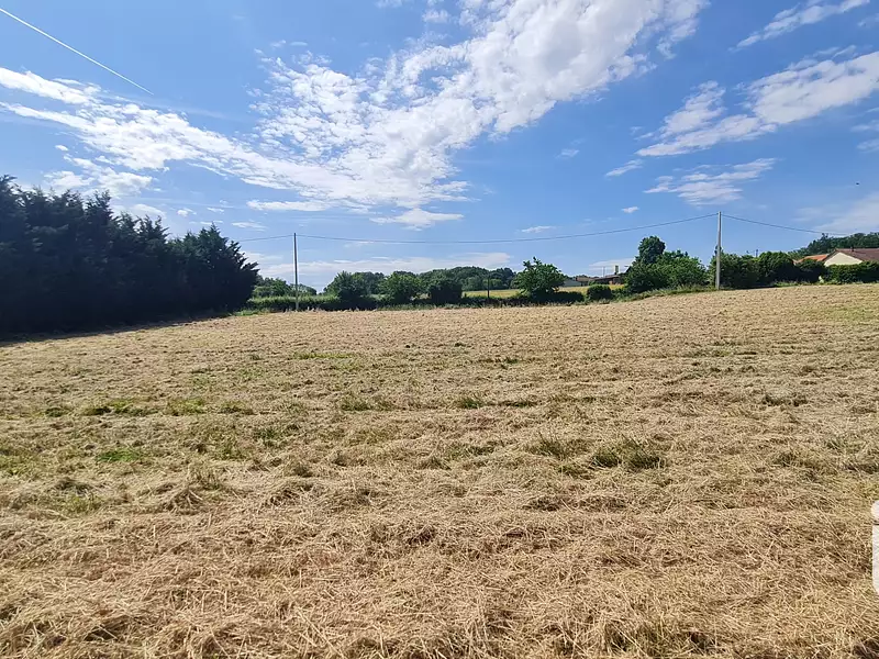 Terrain, 5 195 m²