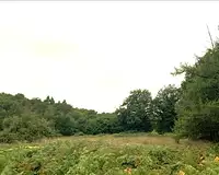 Terrain, 4 316 m²