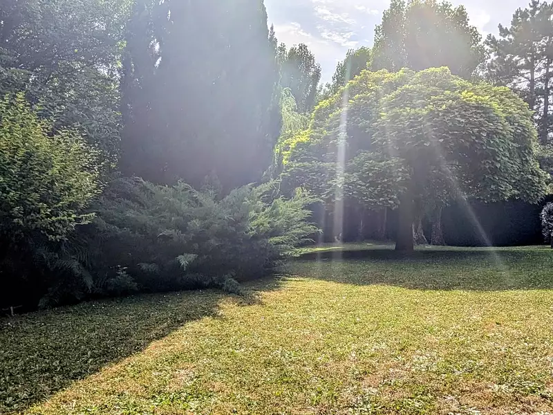 Maison, 246 m²