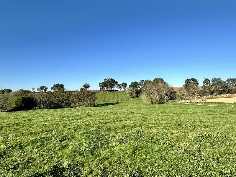 Terrain, 775 m²