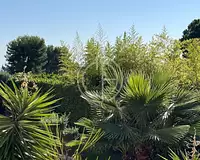 Appartement, 245 m²