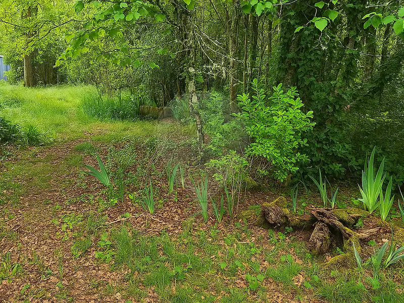 Terrain, 800 m²