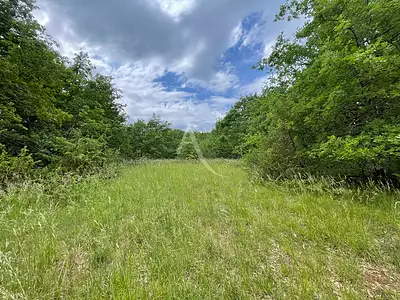 Terrain, 29 925 m²