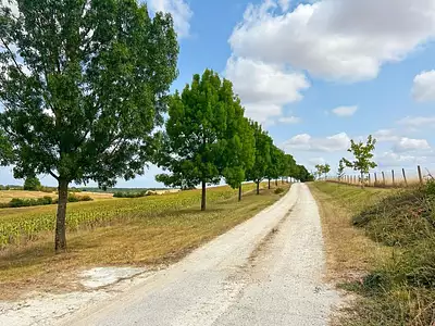 Maison, 885 m²