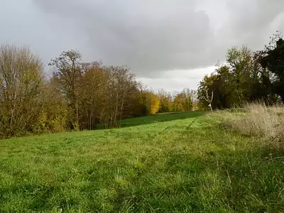 Terrain, 6 814 m²