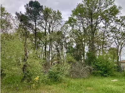 Terrain à bâtir, 490 m²