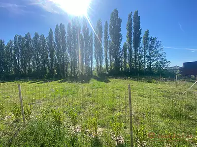 Terrain, 758 m²
