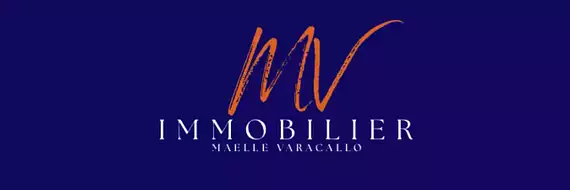 Mv Immobilier
