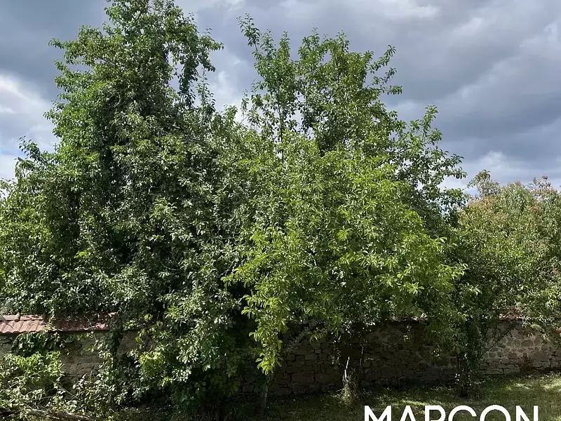 Maison, 195 m²
