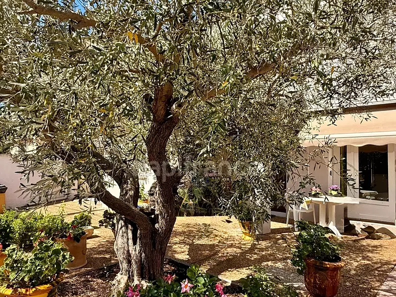 Maison, 156 m²