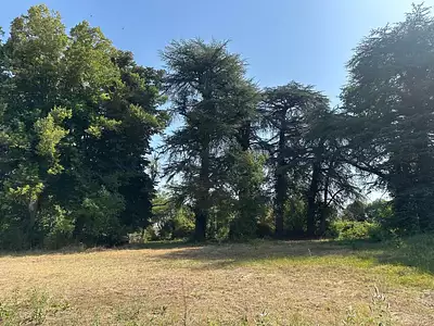 Maison, 74 m²