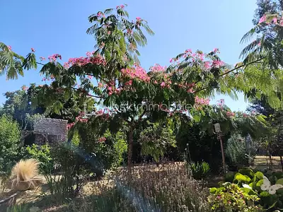 Maison, 115 m²