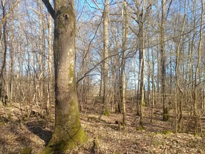 Terrain, 954 490 m²