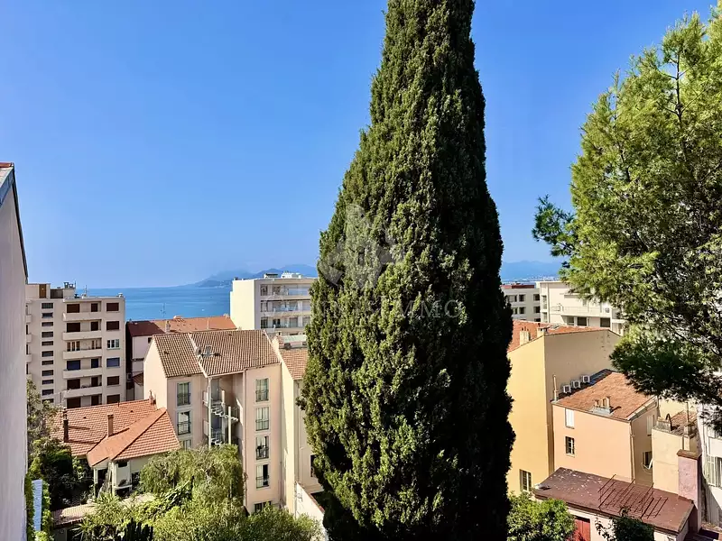 Appartement, 30,16 m²