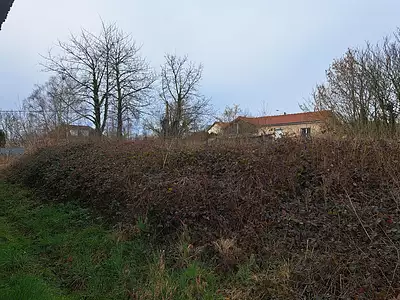 Terrain
