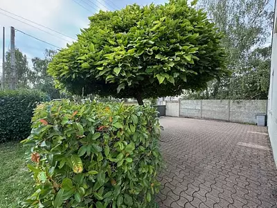 Maison, 88 m²