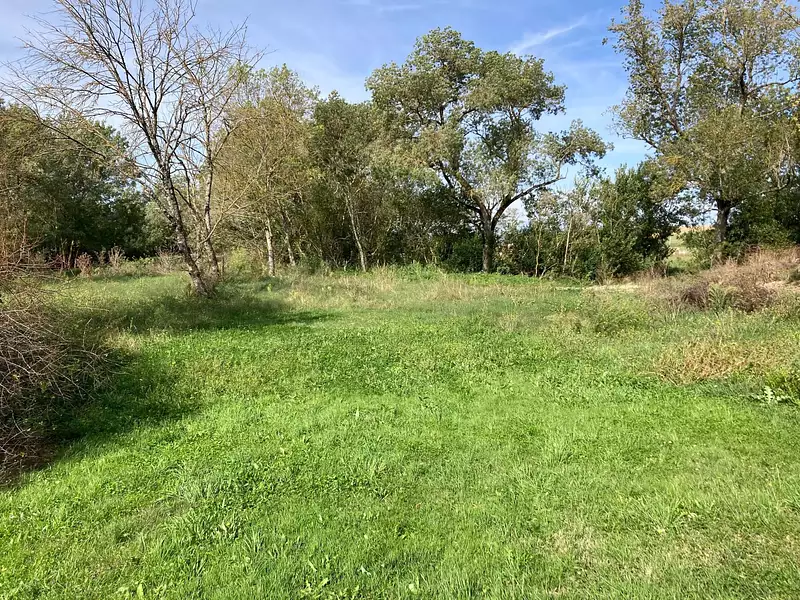 Terrain, 5 000 m²