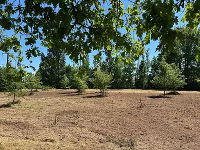 Terrain, 6 209 m²