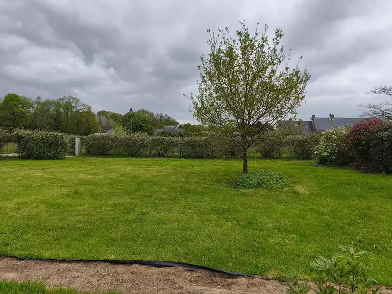 Terrain, 554 m²
