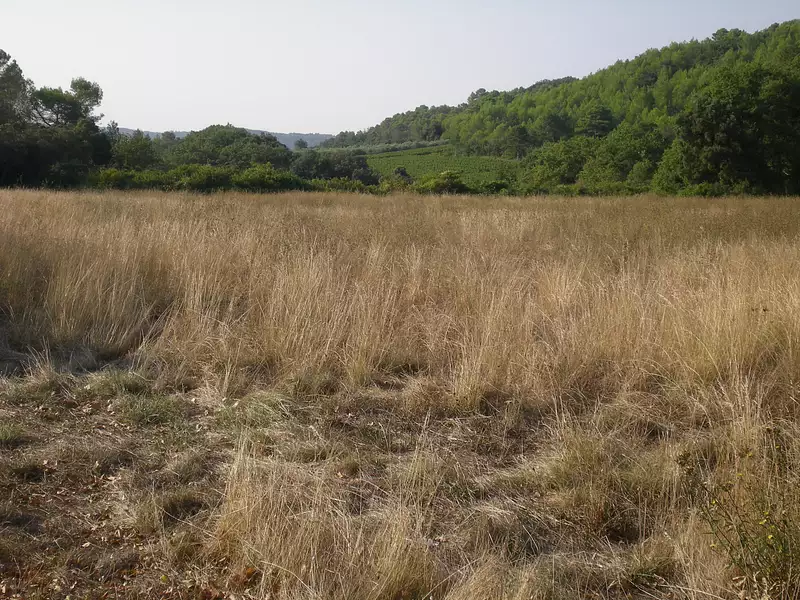 Terrain, 17 947 m²