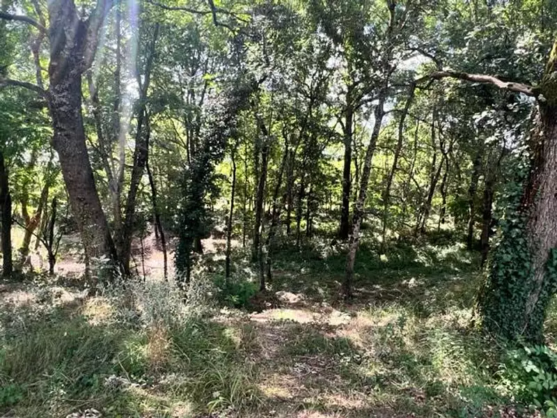 Terrain, 2 950 m²