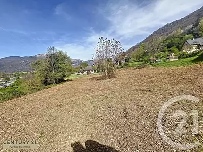 Terrain