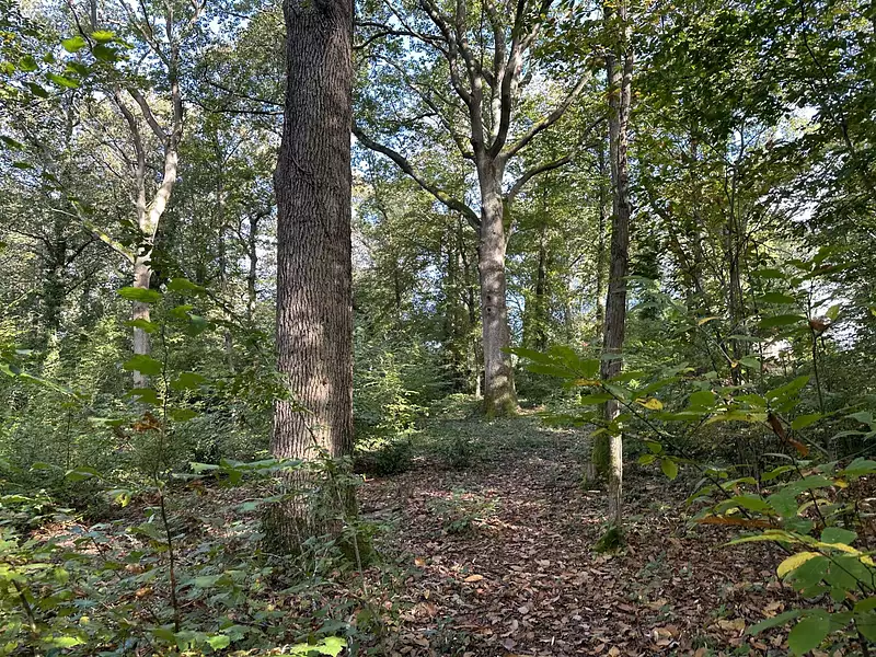 Terrain, 276 474 m²