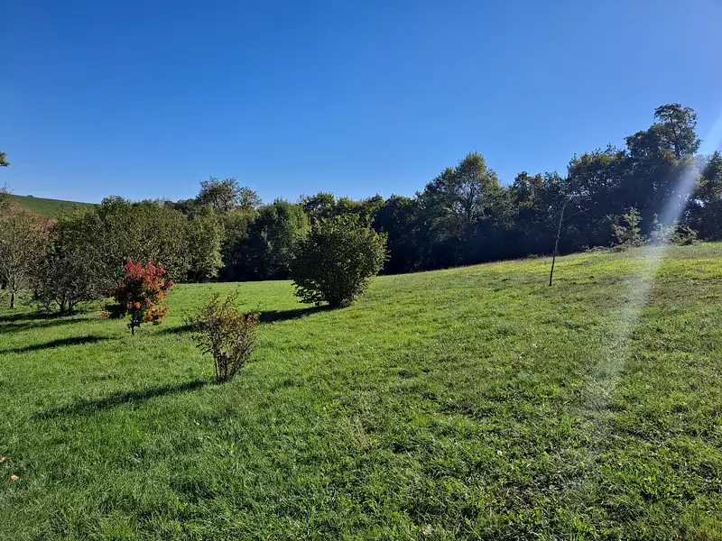 Maison, 175 m²
