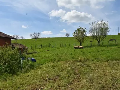 Maison, 181 m²