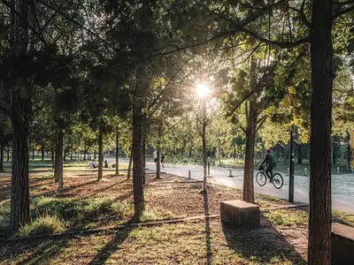 Appartement, 85,5 m²