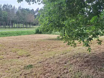 Terrain, 1 219 m²