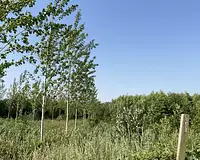 Terrain, 2 600 m²