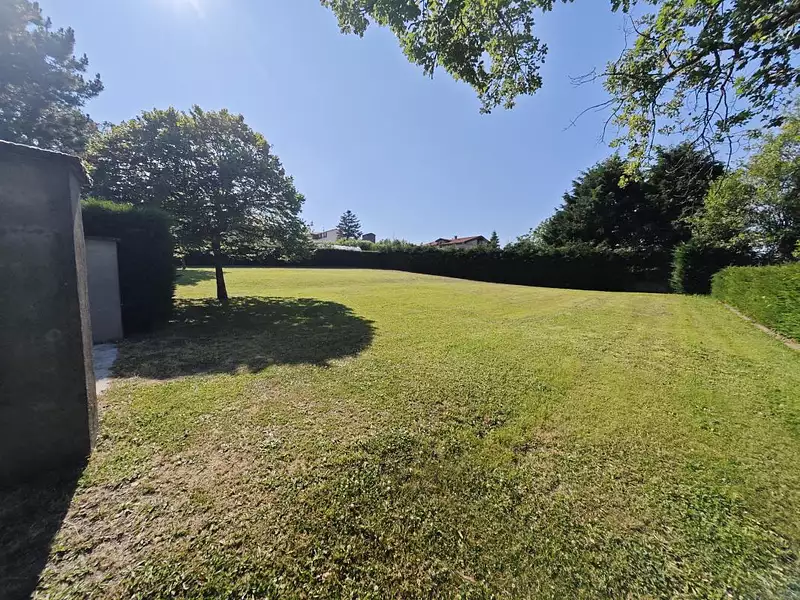 Terrain, 981 m²