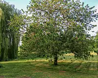 Terrain, 2 500 m²