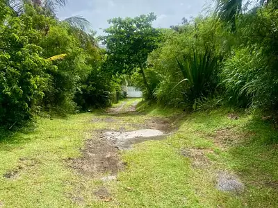 Terrain, 973 m²
