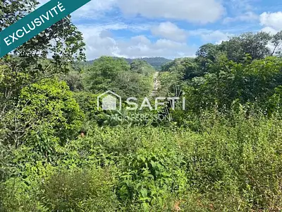 Terrain, 40 003 m²