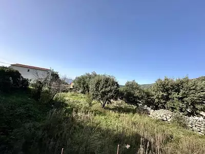 Terrain, 824 m²