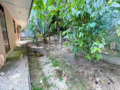 Maison, 73,18 m²