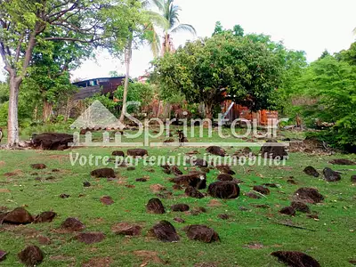 Terrain, 2 983 m²
