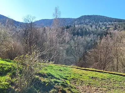 Terrain, 533 m²