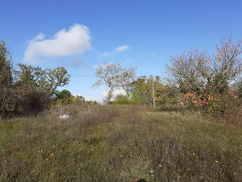 Terrain, 2 339 m²