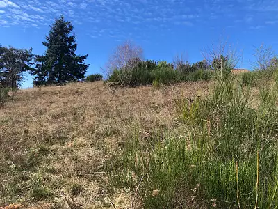 Terrain, 1 000 m²