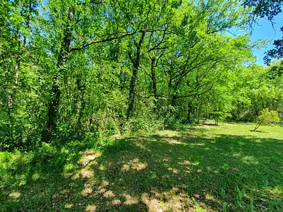 Terrain, 1 516 m²