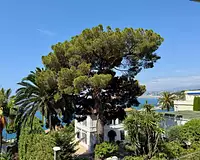 Appartement, 54,1 m²