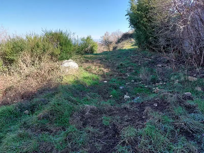 Terrain, 3 646 m²