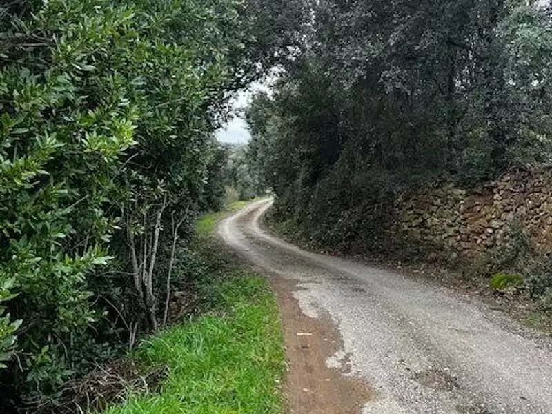 Terrain, 6 290 m²
