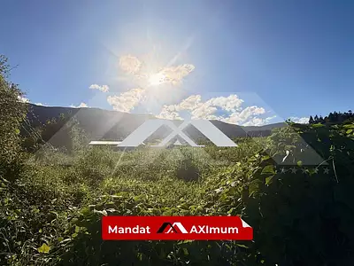 Terrain, 3 980 m²